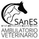 SAnES Ambulatorio Veterinario a Mestrino